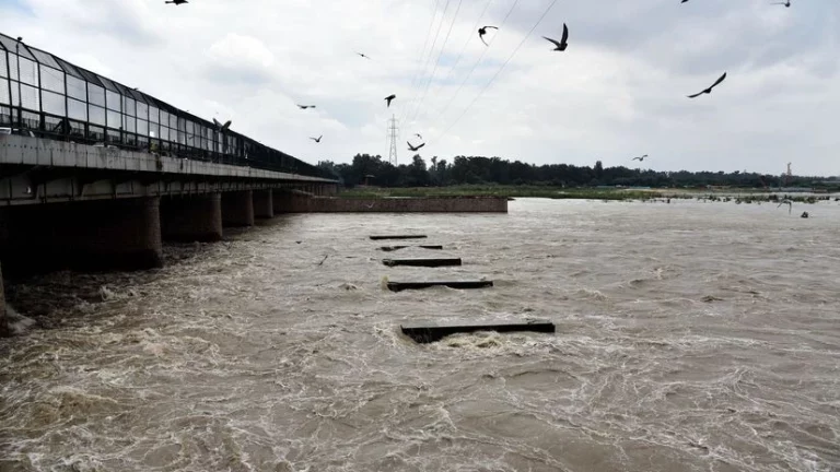 Yamuna River: हथिनीकुंड बैराज पर यमुना का जलस्तर रिकॉर्ड स्तर पर, कई इलाके जलमग्न, अलर्ट जारी
