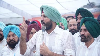 Punjab Congress: पंजाब में संगठन को मजबूत करने में जुटी कांग्रेस, चार कार्यकारी प्रधानों की नीति पर विचार