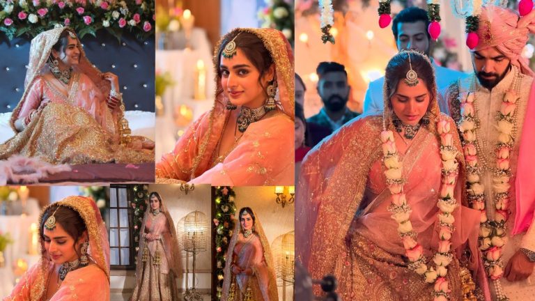 Ayesha Khan Wedding Photos: Bigg Boss fame Ayesha Khan got married! Photos with Karan V Grover go viral