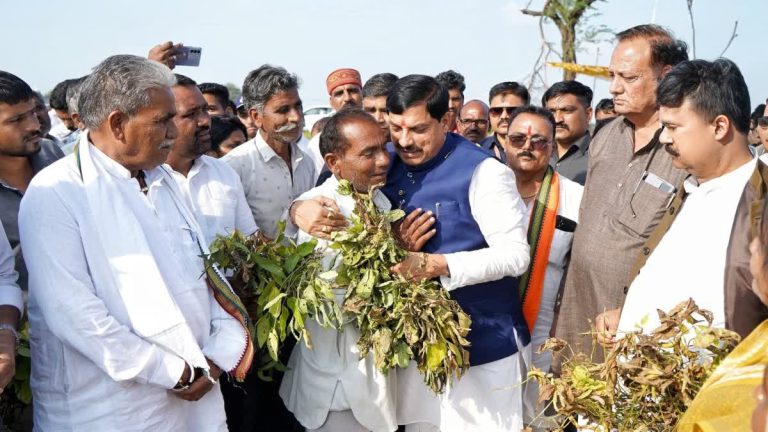 Crops in trouble… and CM Mohan Yadav Visit big announcement on Nilgai too