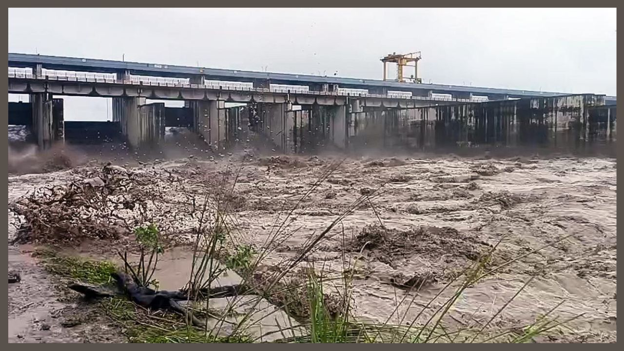 Haryana Palwal Flood Alert: पलवल में यमुना नदी उफान पर, 20 गांवों में बाढ़ का अलर्ट, प्रशासन और ग्रामीण सतर्क