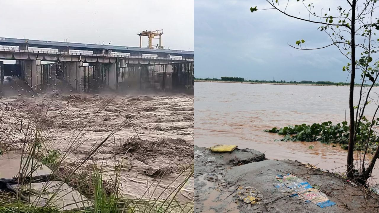 Haryana Flood: हरियाणा के हिसार, फतेहाबाद, सिरसा और चरखी दादरी में बाढ़ जैसी स्थिति