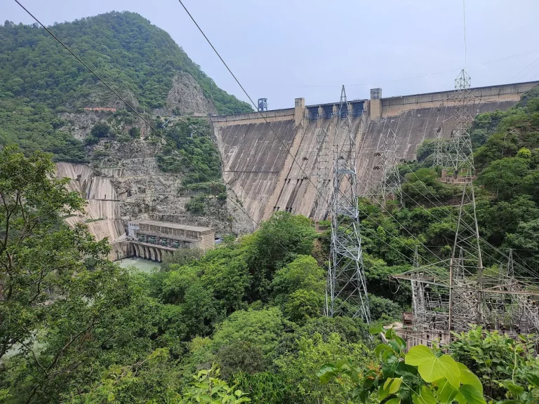 Bhakra Dam: भाखड़ा डैम में बढ़ा जलस्तर, फ्लड गेट खुले, सतलुज किनारे गांवों में बाढ़ का खतरा