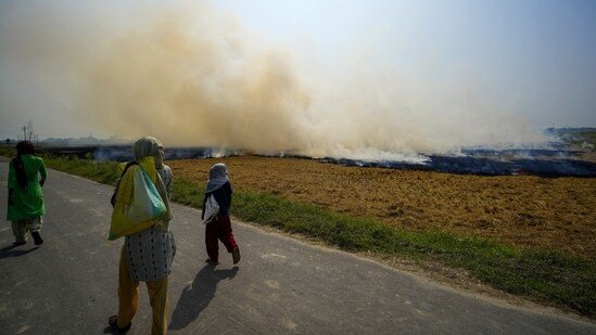 Parali Burning: पंजाब में पराली जलाने के केस बढ़े, अमृतसर-जालंधर की हवा ‘बेहद खराब’ श्रेणी में