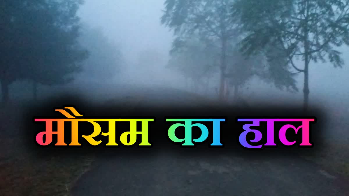 Cold wave and dense fog conditions affecting cities across Madhya Pradesh during winter