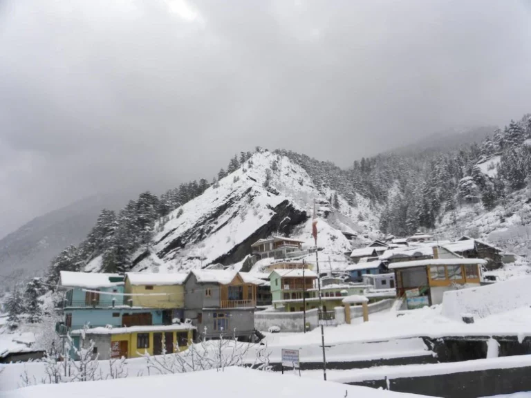 Uttarakhand Snow News: 18 villages in Uttarakhand covered in a blanket of snow after 15 years; the charm of winter returns from Sahia to Mussoorie.