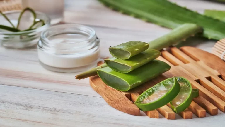 Benefits of Aloe Vera Gel: A precious gift of nature, aloe vera gel provides relief from acne, dandruff and sunburn, learn the right way to use it.