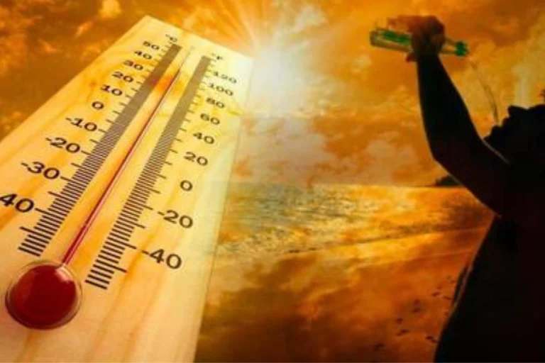IMD Weather Update: Severe heat wreaks havoc in Delhi, UP, Bihar, heatwave alert issued in many states