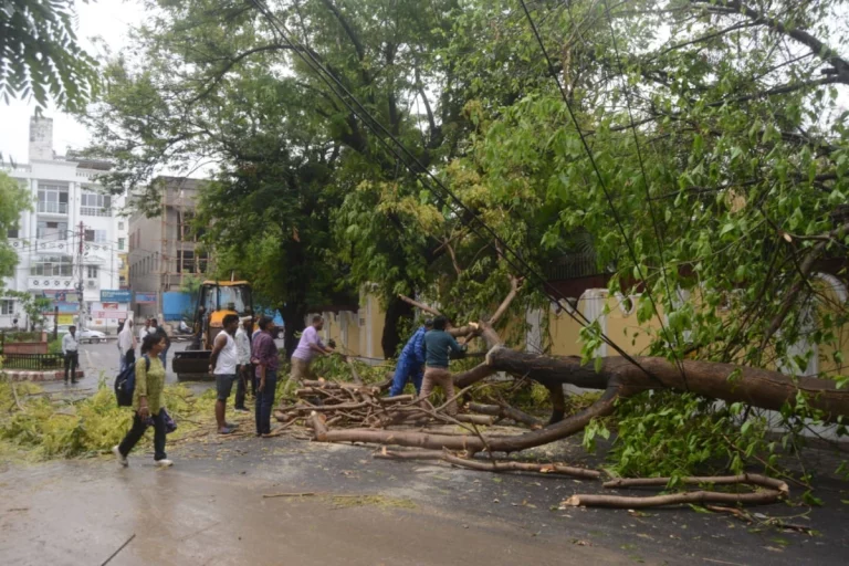 UP Storm Rain Havoc