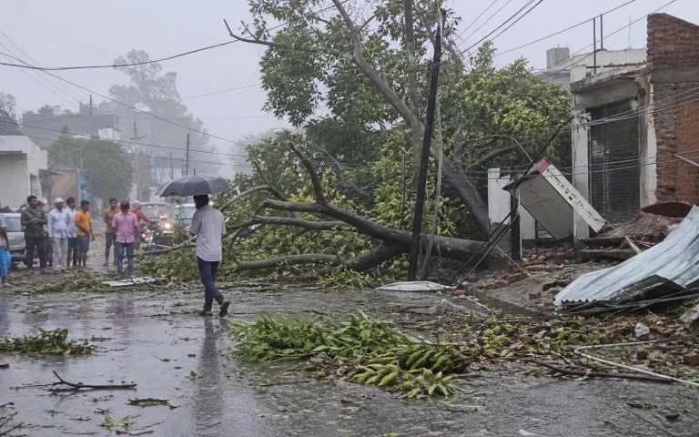 UP weather update: Storms and rain wreak havoc in UP! 24 deaths in 24 hours, danger still persists