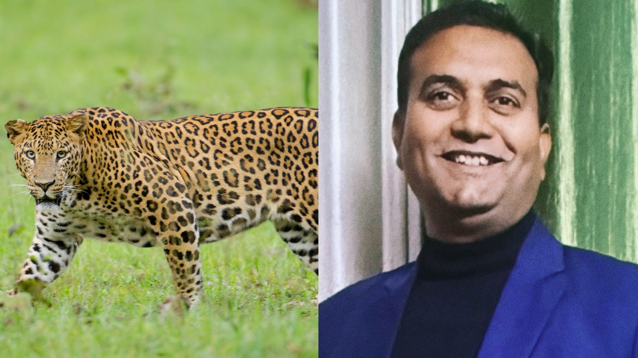 Bijnor Leopard Rescue: The one who was thought to be the enemy turned out to be the protector of the forest, a shocking revelation by the leopard.