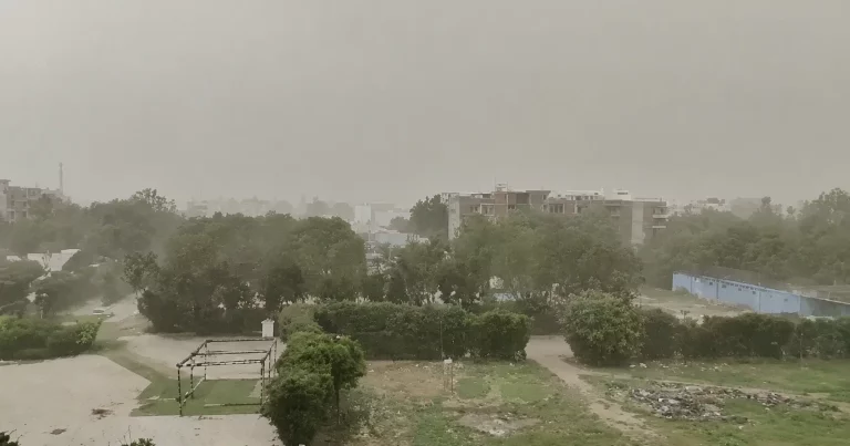 Delhi NCR Weather Update: A view of the dusty sky, strong winds and possibility of rain during a dust storm in Noida and Delhi-NCR.
