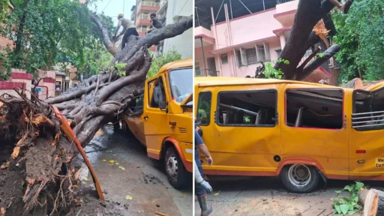 Mumbai School Bus Tree Accident: Rescue teams removing students after a huge tree fell on a school bus in Chembur, leaving one child dead and four injured.