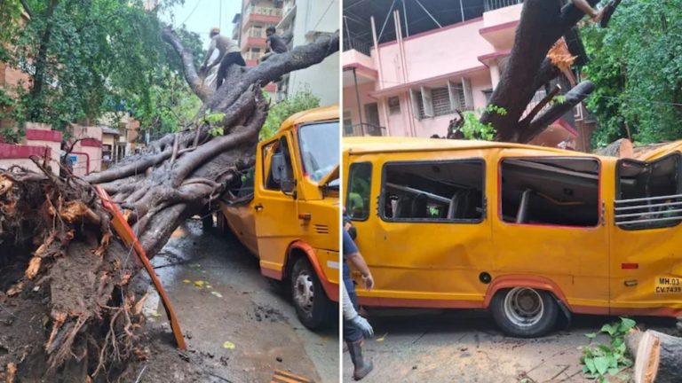 Mumbai School Bus Tree Fall