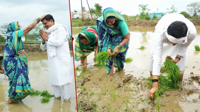 MP Paddy Festival: CM Mohan Yadav participates in MP Paddy Festival by sowing paddy with farmers in Seoni and announces development projects and farmer welfare schemes.