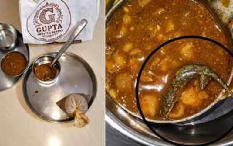 Meerut Gupta sweets Lizard in Sabji: Lizard allegedly found in kachori-sabji at Gupta Sweets in Meerut